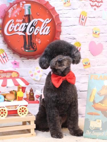 20230915コタロウくん